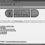 history of the web
